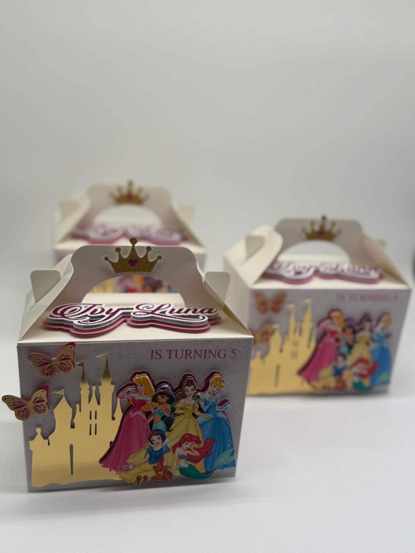 Disney Princess Gable Boxes | Disney Princess Party Boxes | Princess Birthday Ideas | Princess Birthday Decor | Disney Princess Party Bags | Disney Princess 3D Party Box