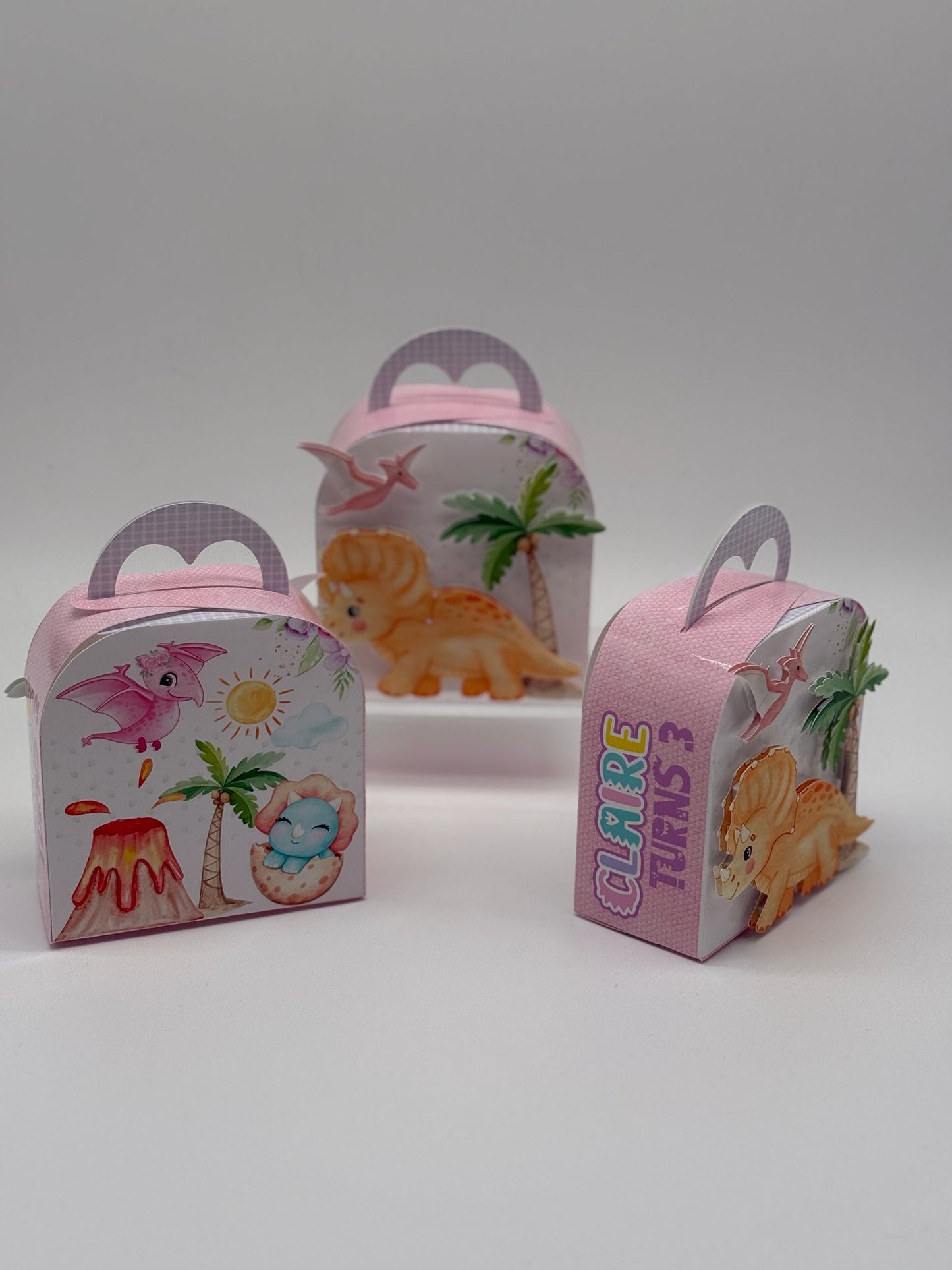 Girls Dino Party Boxes | Girls Dinosaur Party Boxes | Girls Dino Party Boxes | Girls Dinosaur Party Box | Girls Dino Bros Party | Girls Dinosaur Birthday