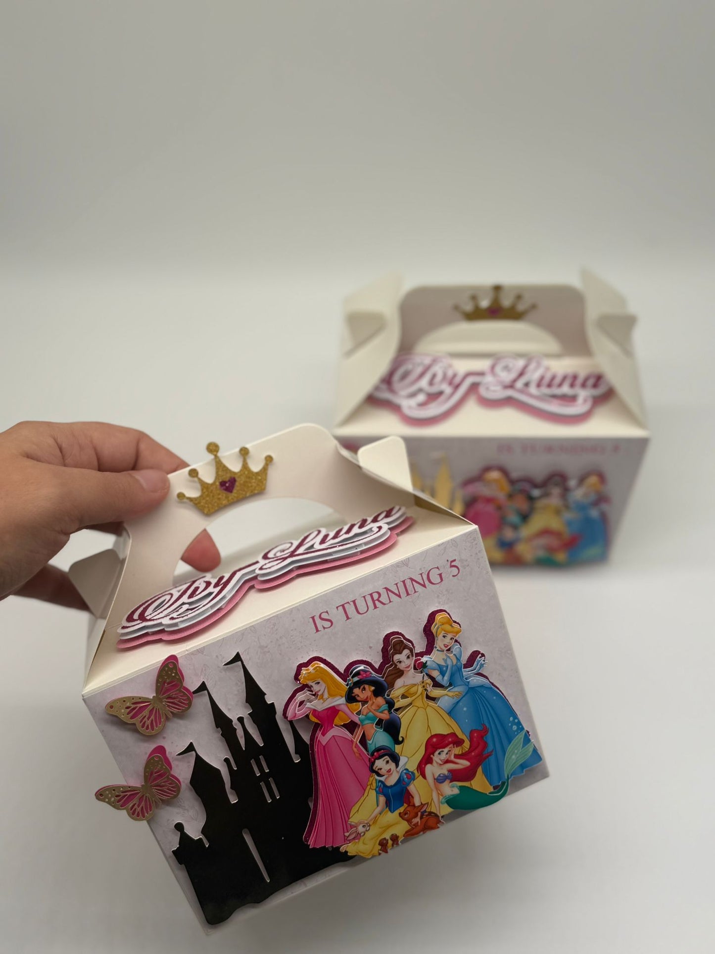 Disney Princess Gable Boxes | Disney Princess Party Boxes | Princess Birthday Ideas | Princess Birthday Decor | Disney Princess Party Bags | Disney Princess 3D Party Box