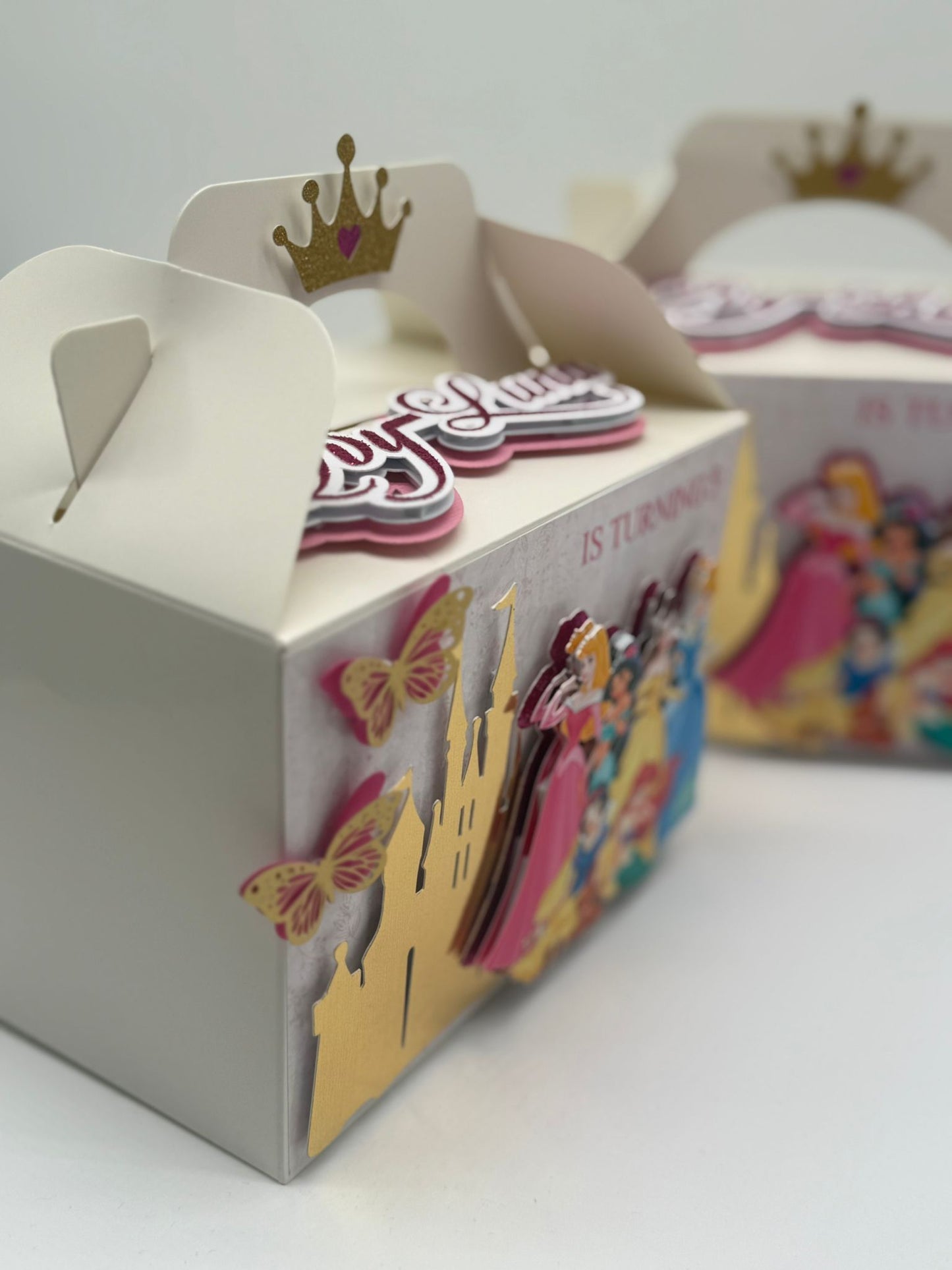 Disney Princess Gable Boxes | Disney Princess Party Boxes | Princess Birthday Ideas | Princess Birthday Decor | Disney Princess Party Bags | Disney Princess 3D Party Box