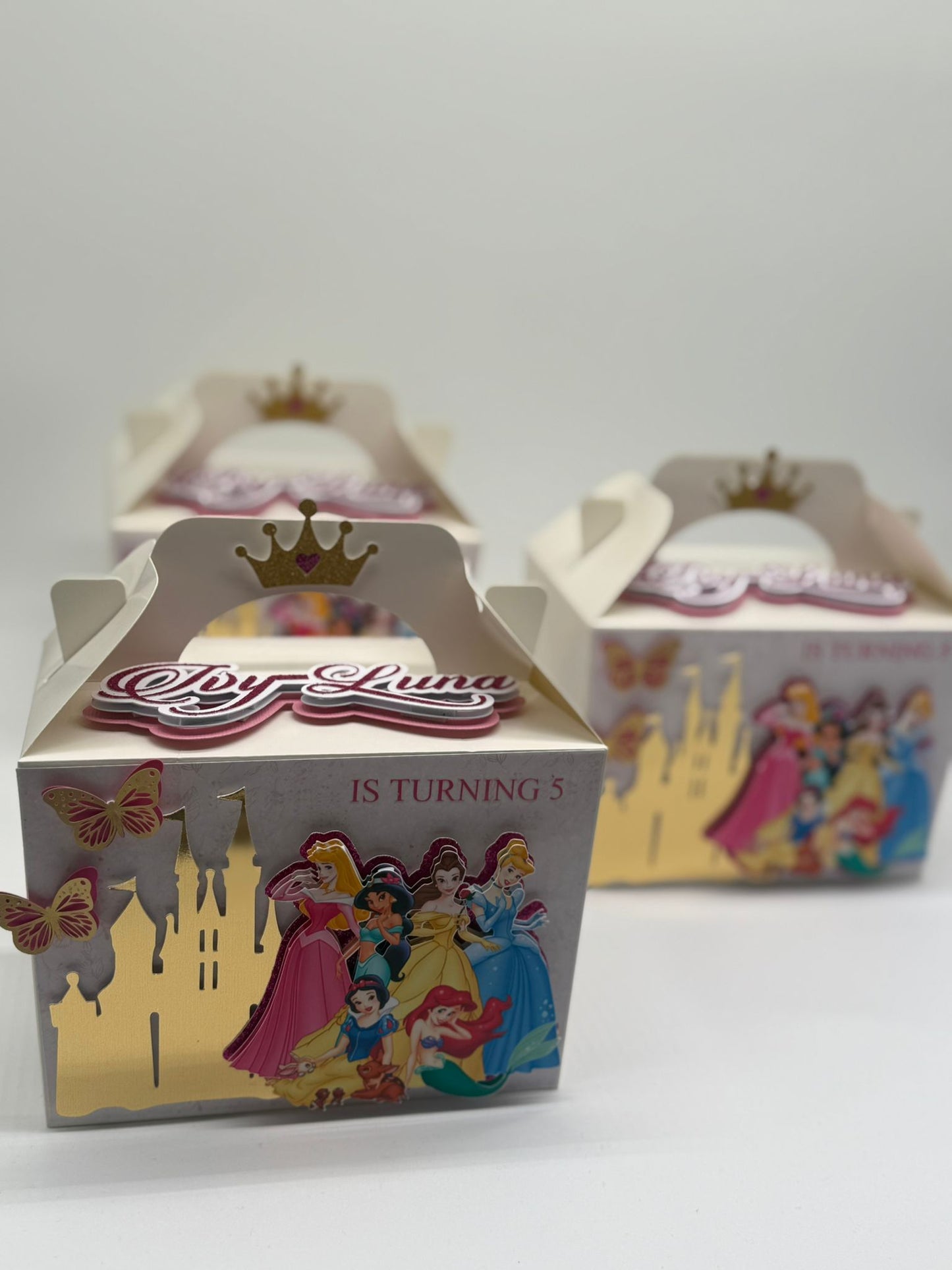 Disney Princess Gable Boxes | Disney Princess Party Boxes | Princess Birthday Ideas | Princess Birthday Decor | Disney Princess Party Bags | Disney Princess 3D Party Box