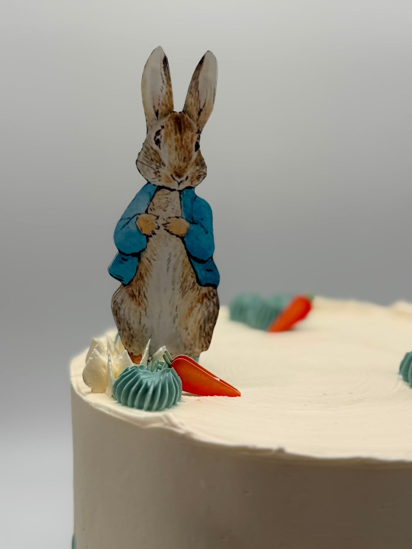 Petter Rabbit Cake Topper | Petter Rabbit Birthday | Petter Rabbit Cake Ideas | Petter Rabbit Party Ideas