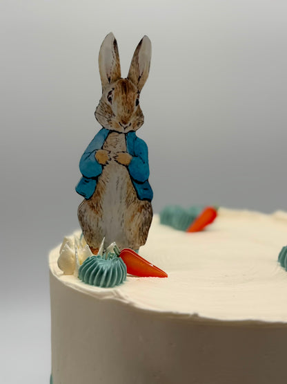 Petter Rabbit Cake Topper | Petter Rabbit Birthday | Petter Rabbit Cake Ideas | Petter Rabbit Party Ideas